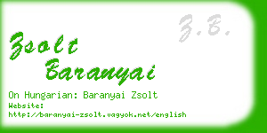 zsolt baranyai business card